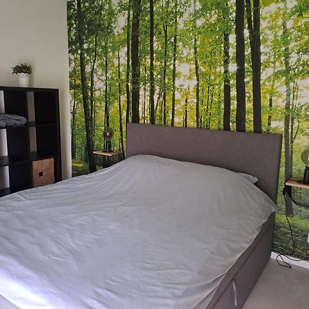 Ons Huusie Villa Noord-Sleen ภายนอก รูปภาพ